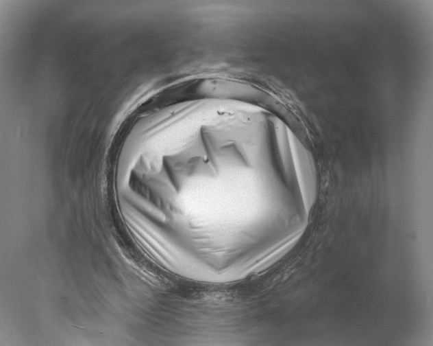 X0000077980344200611251351