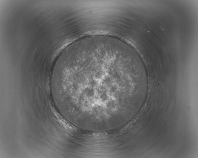 X0000077980345200611251351