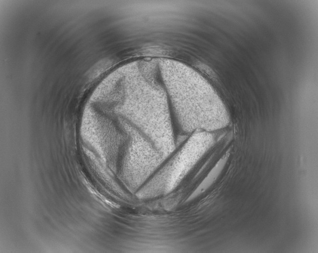 X0000077980349200611251351