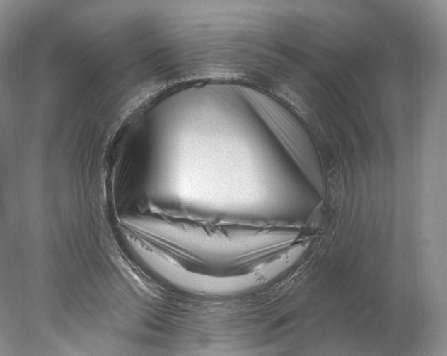 X0000077980350200611251351