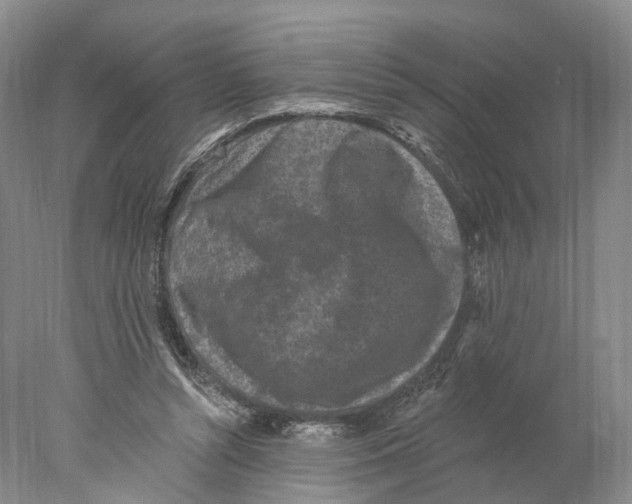 X0000077980352200611251351