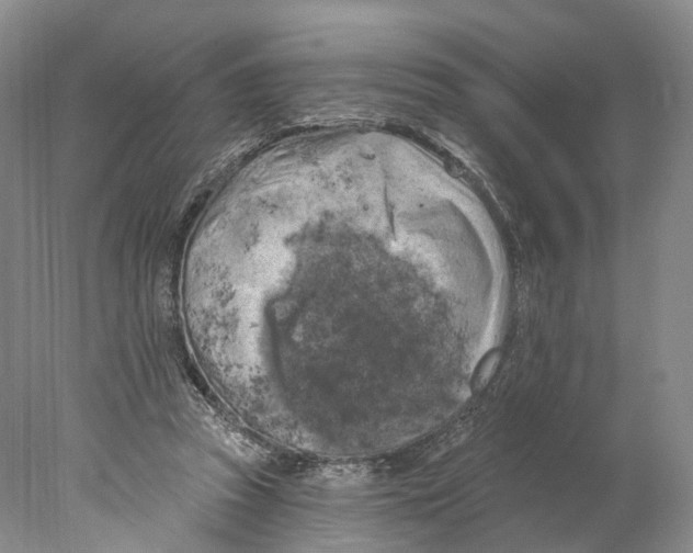 X0000077980353200611251351