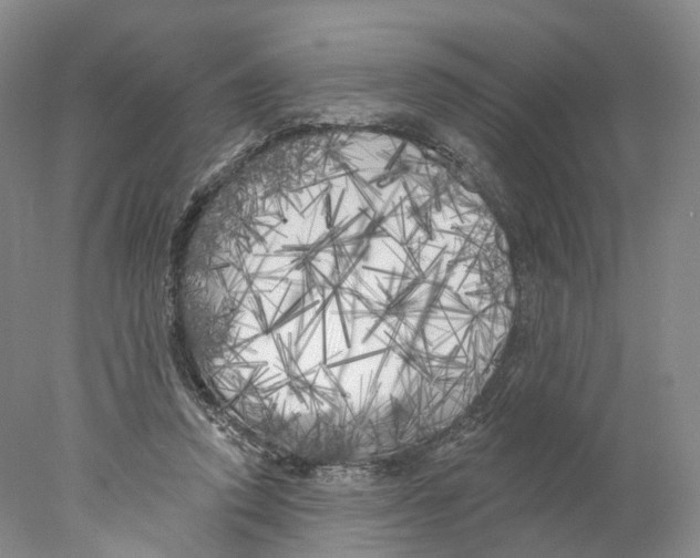 X0000077980354200611251351