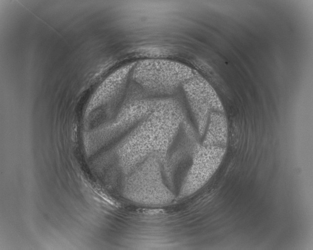 X0000077980355200611251351