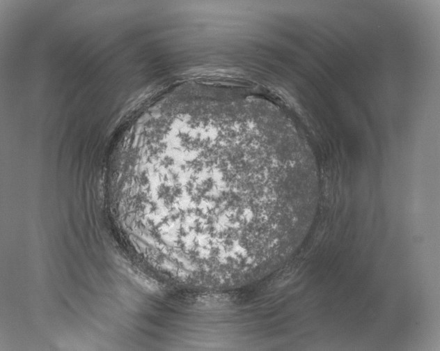 X0000077980357200611251351