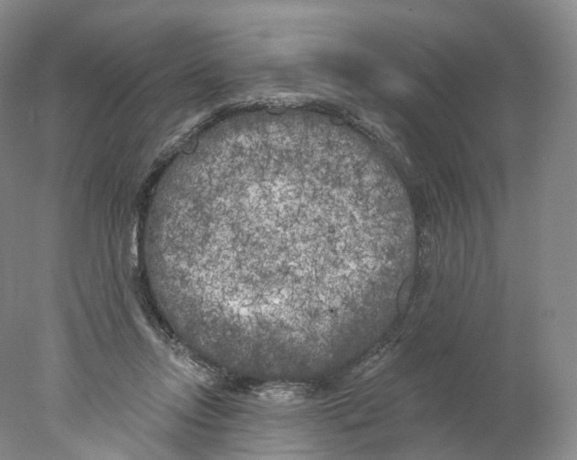 X0000077980358200611251351