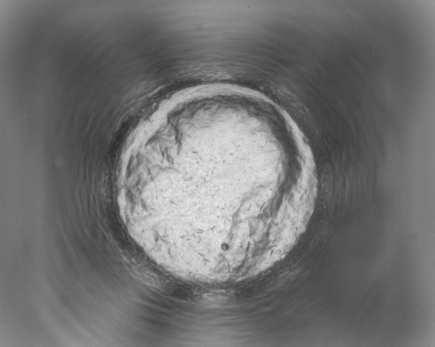 X0000077980359200611251351