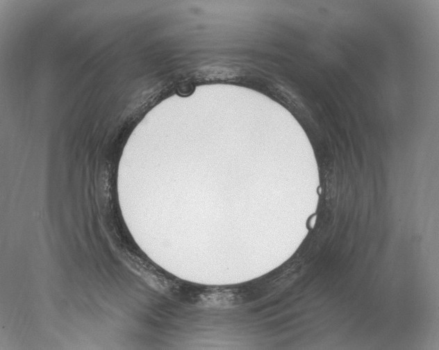 X0000077980362200611251351