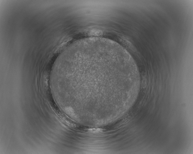 X0000077980363200611251351