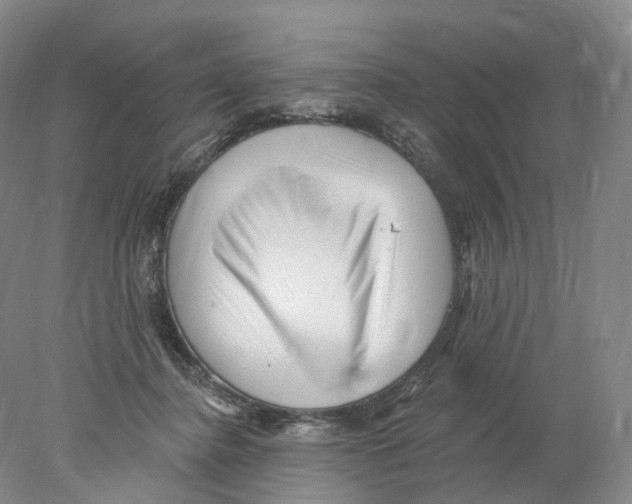 X0000077980364200611251351