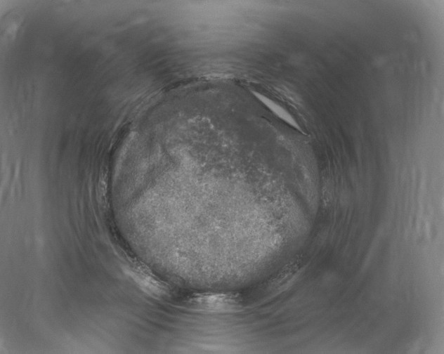 X0000077980365200611251351