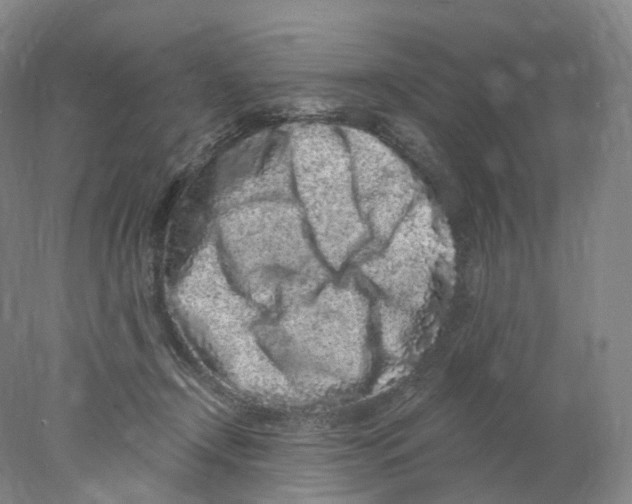 X0000077980366200611251351