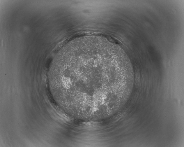 X0000077980367200611251351