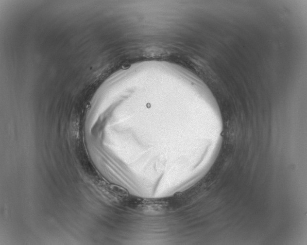 X0000077980368200611251351