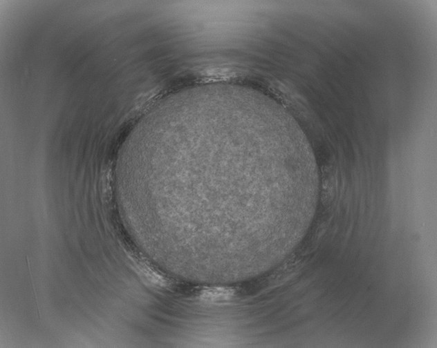 X0000077980369200611251351