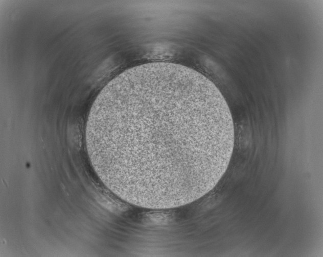 X0000077980370200611251351