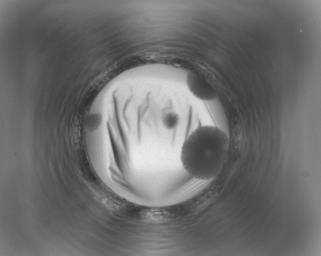 X0000077980372200611251351