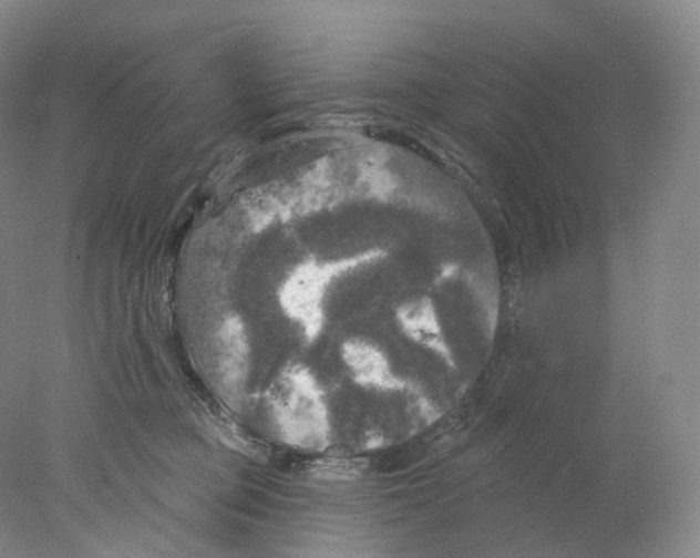 X0000077980373200611251351