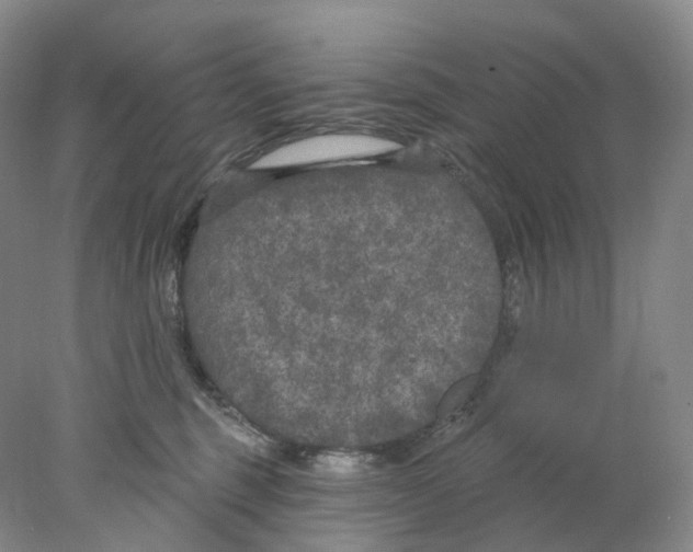 X0000077980375200611251352