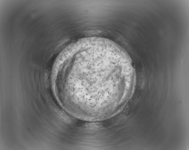 X0000077980378200611251352