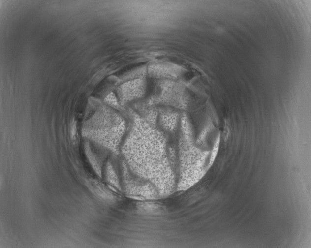 X0000077980380200611251352