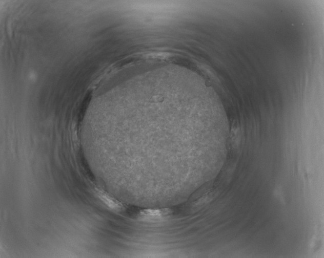 X0000077980381200611251352