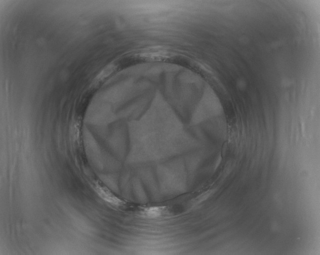 X0000077980382200611251352