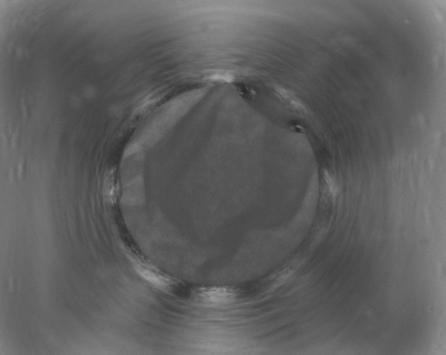 X0000077980383200611251352