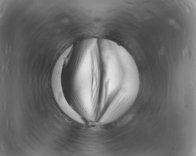 X0000077980384200611251352