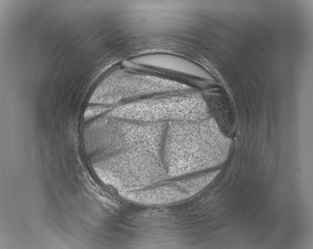 X0000077980386200611251351