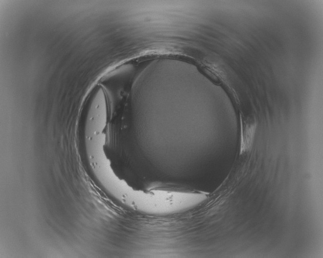 X0000077980387200611251351