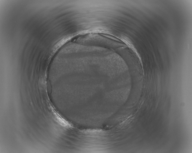 X0000077980389200611251351