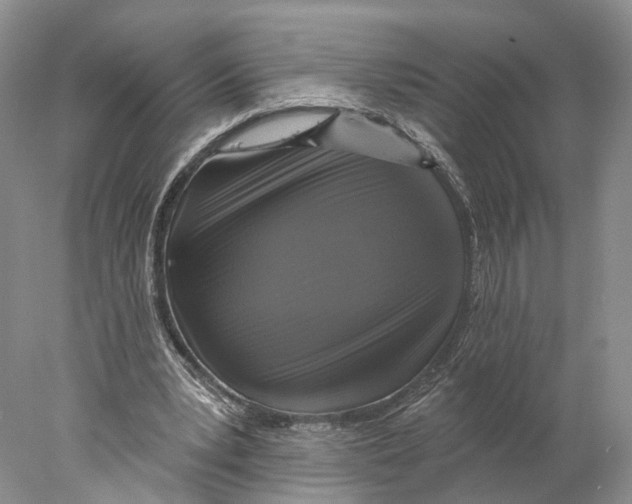 X0000077980391200611251351