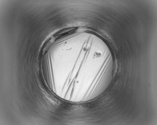 X0000077980392200611251351