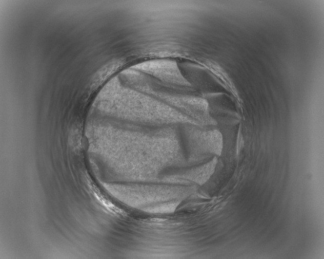 X0000077980393200611251351