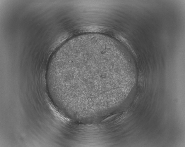 X0000077980394200611251351