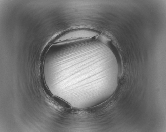 X0000077980395200611251351