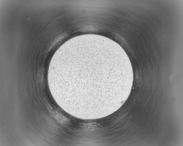 X0000077980396200611251351