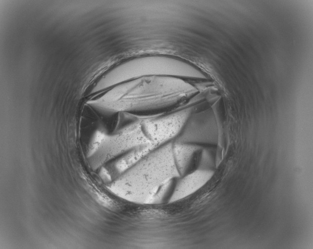 X0000077980397200611251351