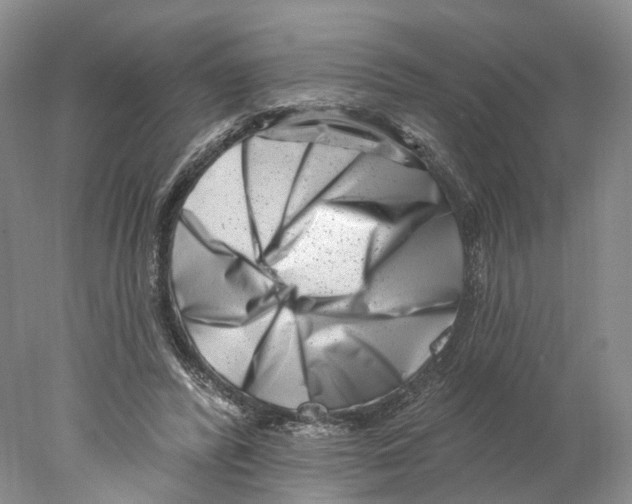 X0000077980400200611251351