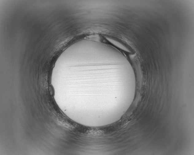 X0000077980403200611251351