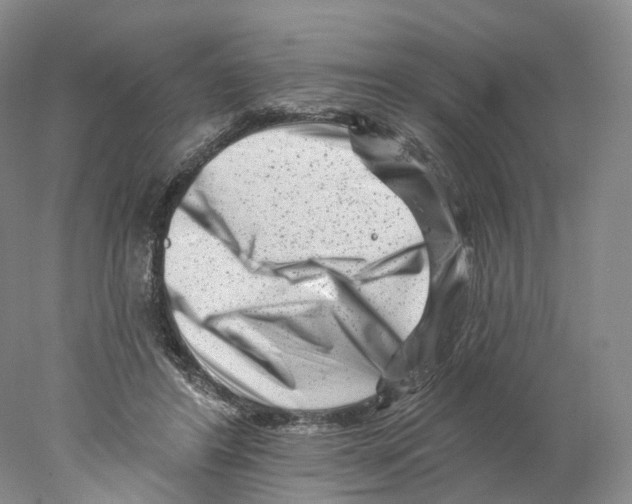 X0000077980404200611251351