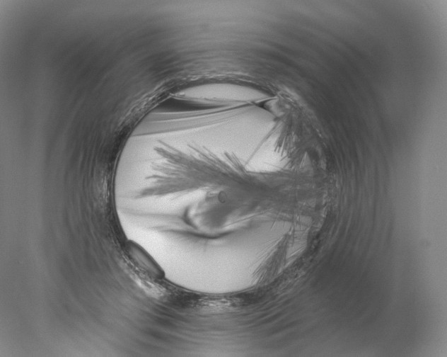 X0000077980405200611251351