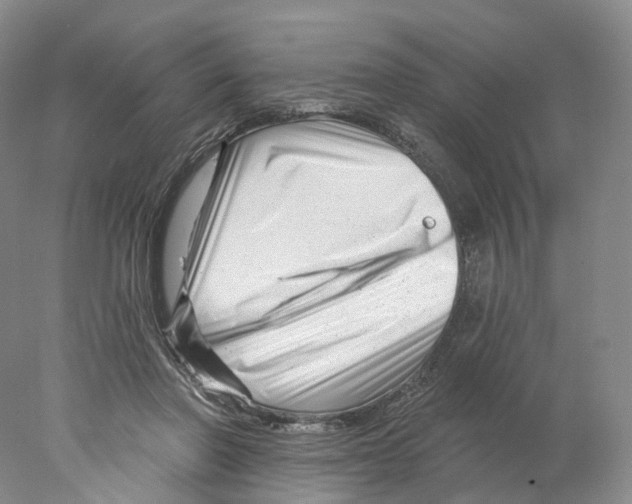 X0000077980406200611251351