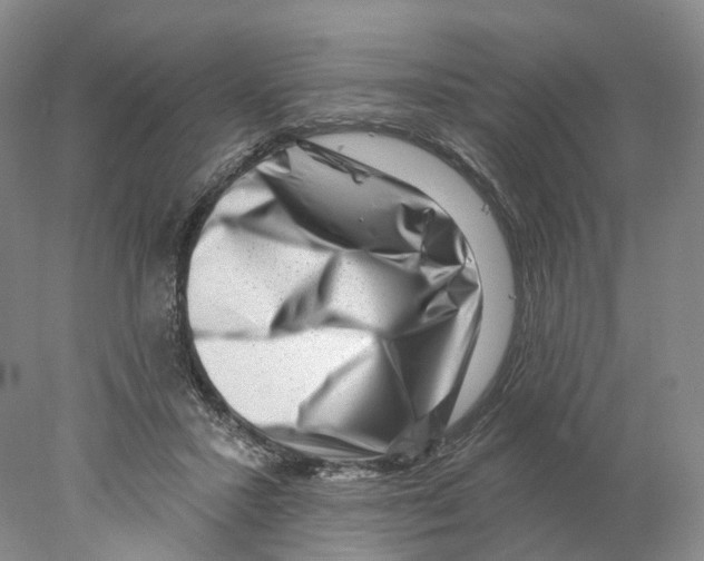 X0000077980407200611251351