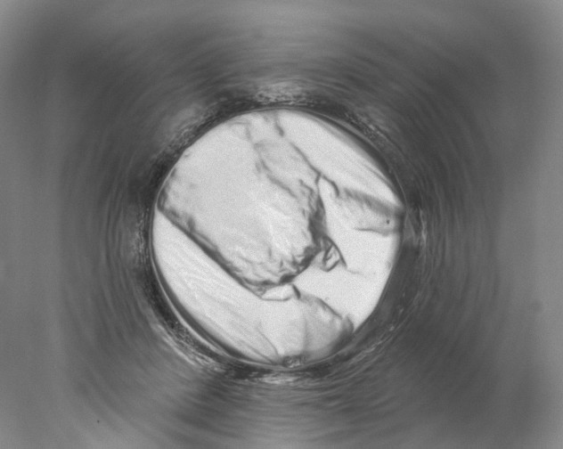 X0000077980408200611251350