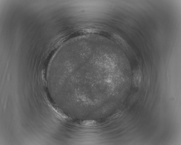 X0000077980410200611251350