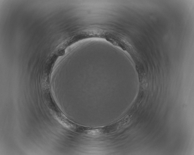 X0000077980411200611251350