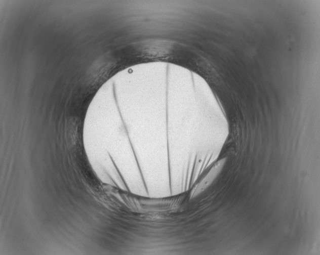 X0000077980412200611251350