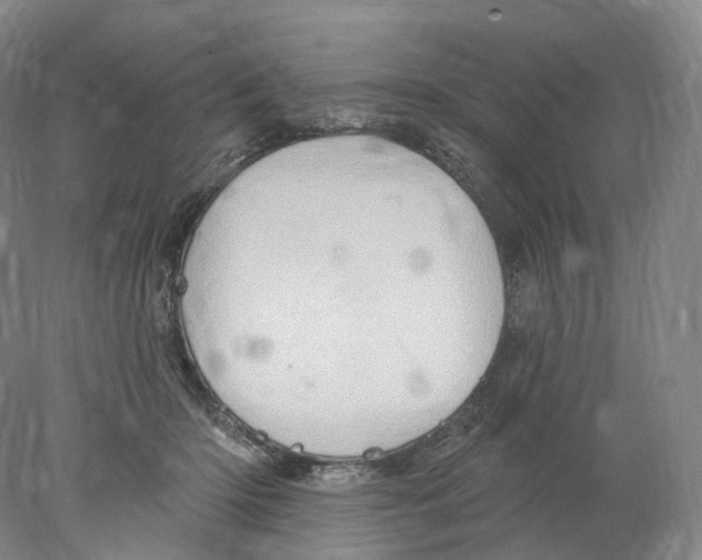 X0000077980414200611251350